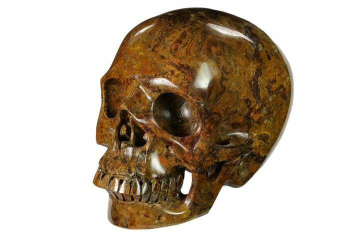 Realistic, Polished Autumn Jasper Skull #150879